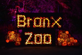 Pumpkins Nights at the Bronx Zoo: A Half-Mile Jack-O’-Lantern Trail to Debut Sept. 28 as the Newest Fall Experience in New York City-Area 